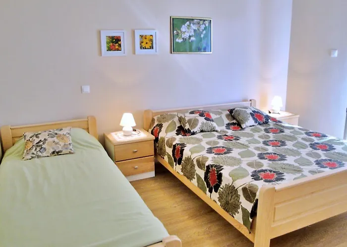 Nidisa Guest house Cizici